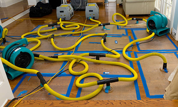 Professional Sewage Cleanup technician working in Catawba, OH